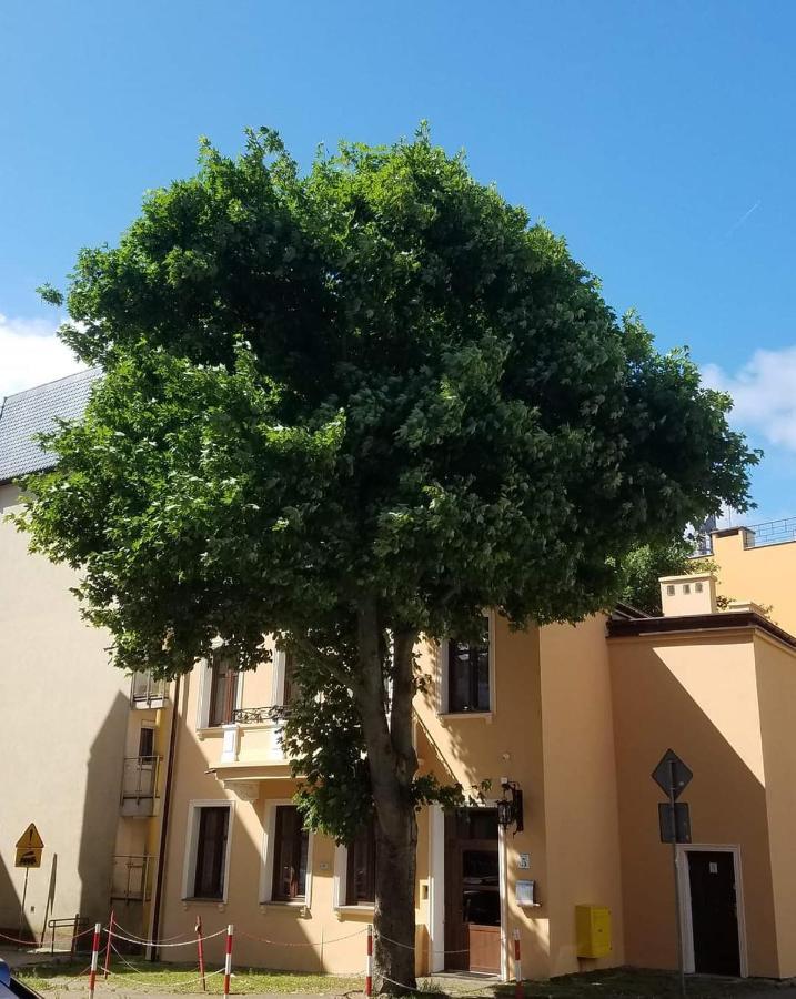 Apartamenty Na Cichej 5 A4 Kolberg Exterior foto